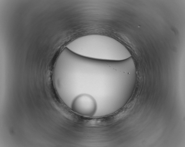 X0000111790366200907230954