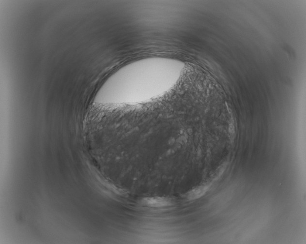 X0000111790367200907230954