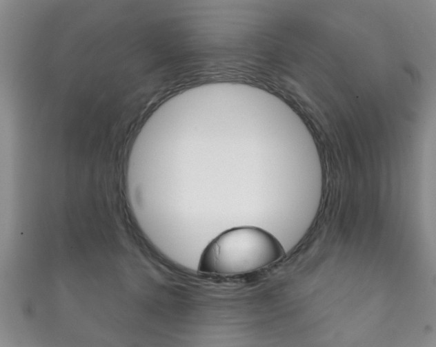 X0000111790368200907230954