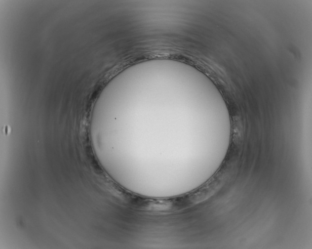 X0000111790369200907230954
