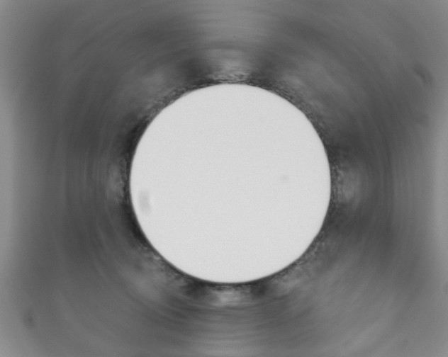 X0000111790370200907230954