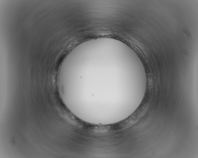 X0000111790373200907230954