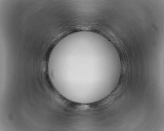 X0000111790374200907230954
