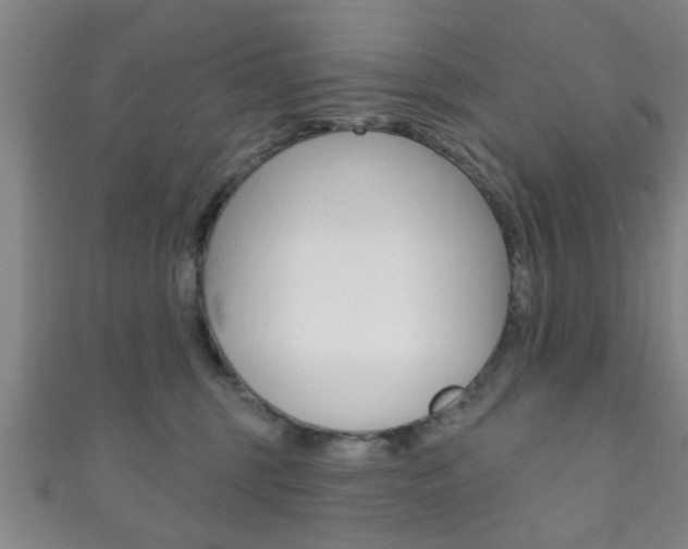 X0000111790375200907230954