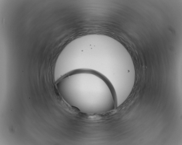 X0000111790376200907230954