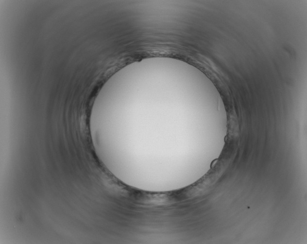 X0000111790377200907230954