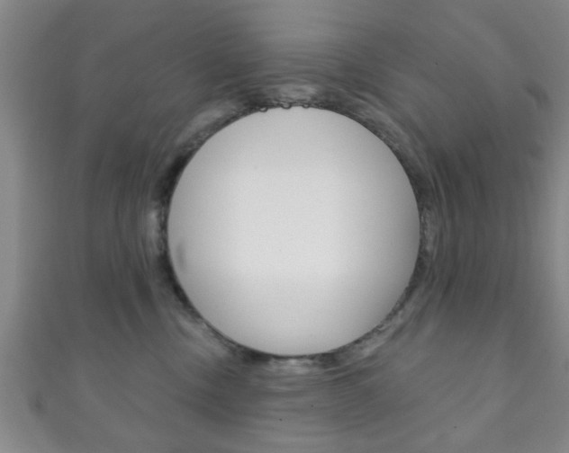 X0000111790378200907230954