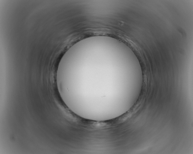 X0000111790379200907230954