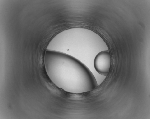 X0000111790380200907230954