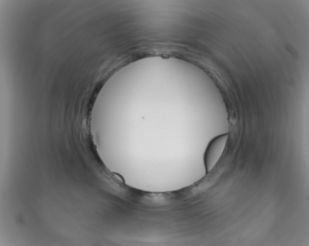 X0000111790381200907230954
