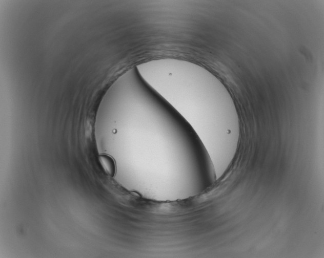 X0000111790382200907230954