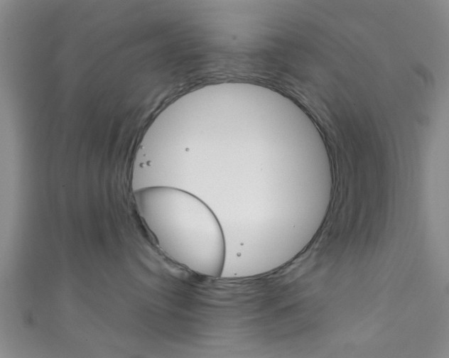 X0000111790384200907230954