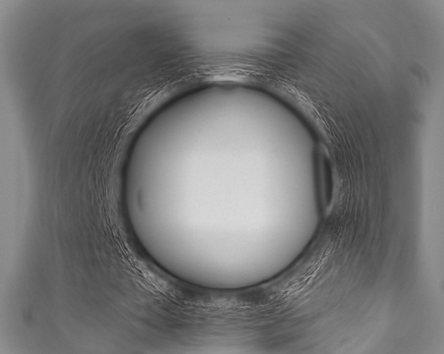 X0000111790385200907230953