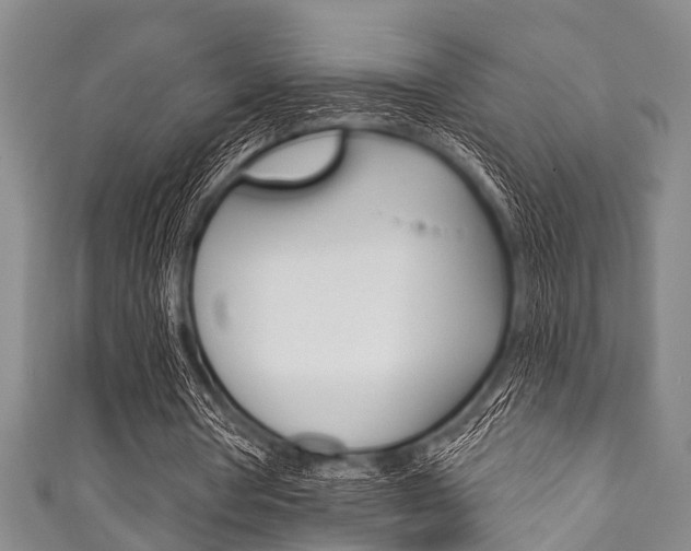 X0000111790386200907230953