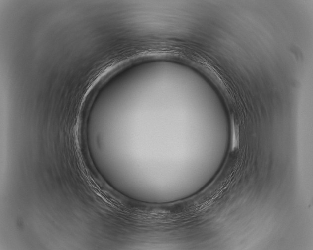 X0000111790387200907230953