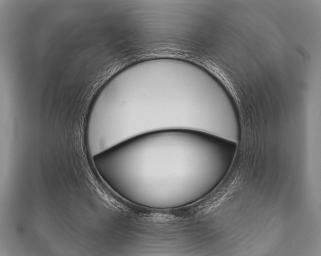 X0000111790393200907230953