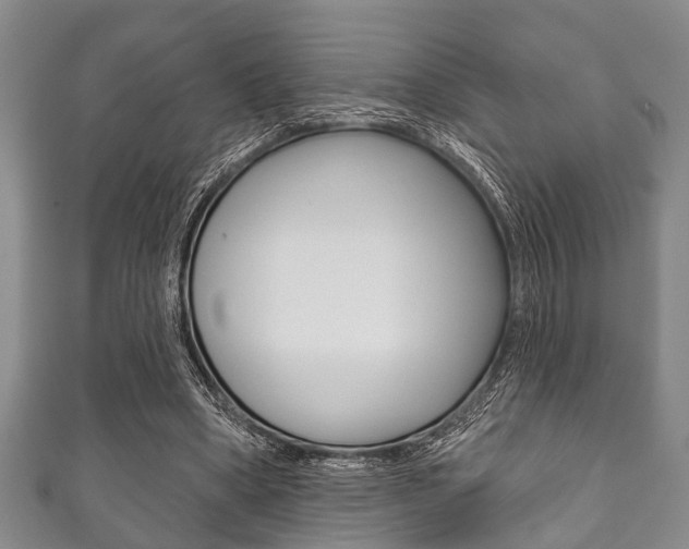 X0000111790394200907230953