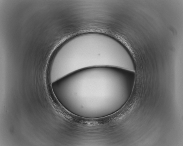 X0000111790395200907230953