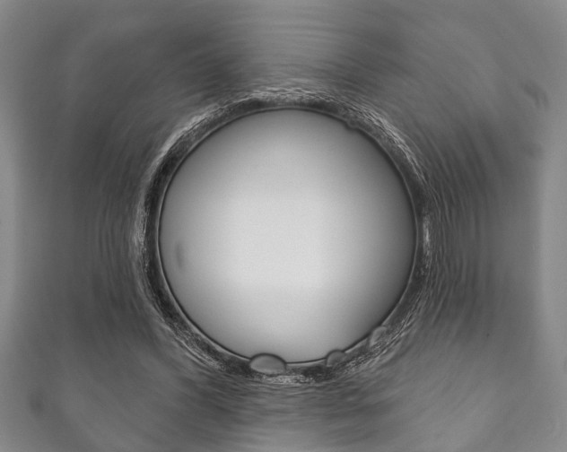 X0000111790396200907230953