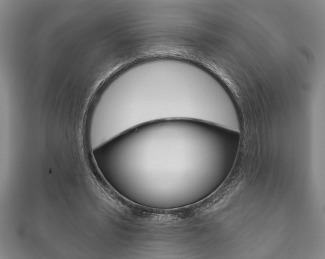 X0000111790399200907230953