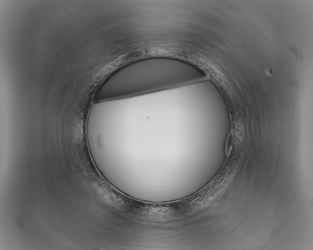 X0000111790401200907230953