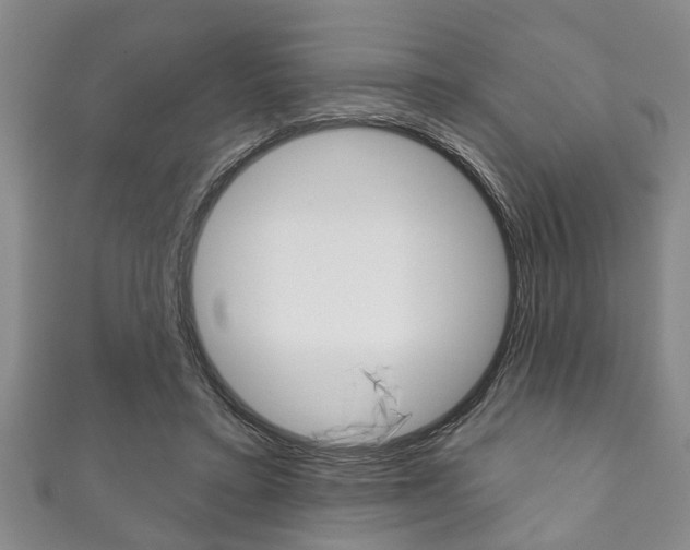 X0000111790403200907230953