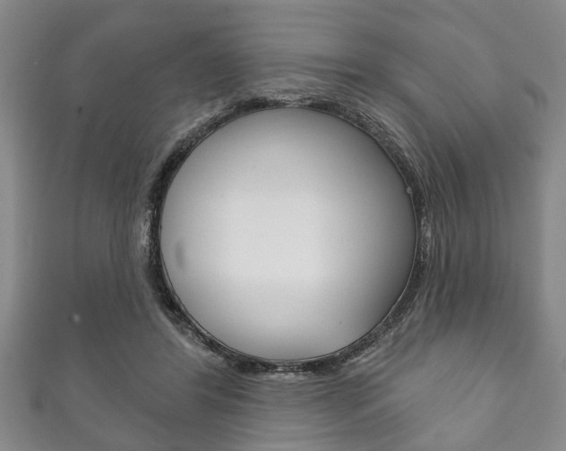 X0000111790404200907230953