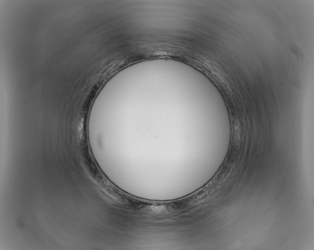 X0000111790406200907230953