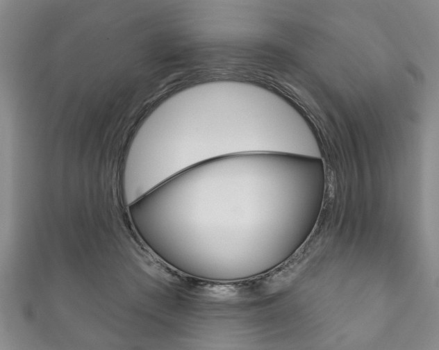 X0000111790409200907230953