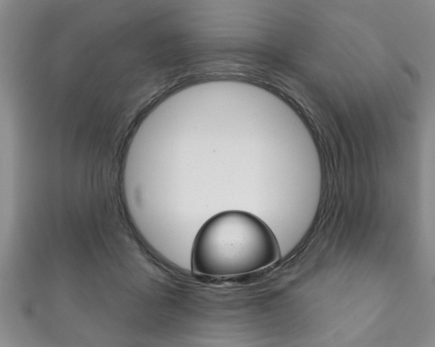 X0000111790411200907230953