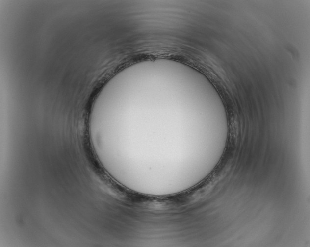 X0000111790412200907230953