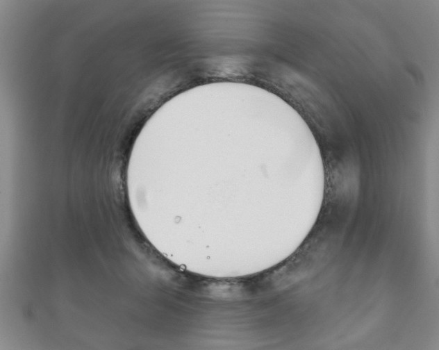 X0000111790415200907230953