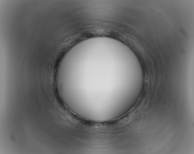 X0000111790416200907230953