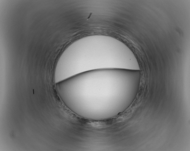 X0000111790417200907230953