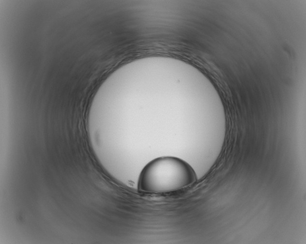 X0000111790419200907230953