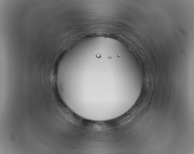 X0000111790420200907230953