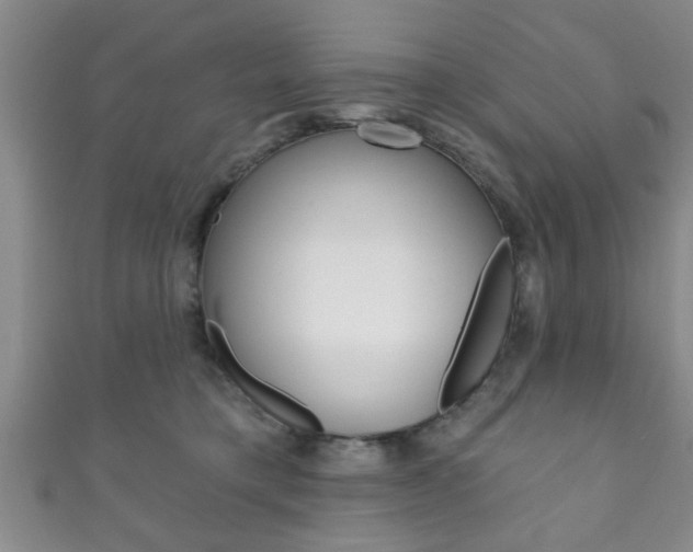 X0000111790421200907230953