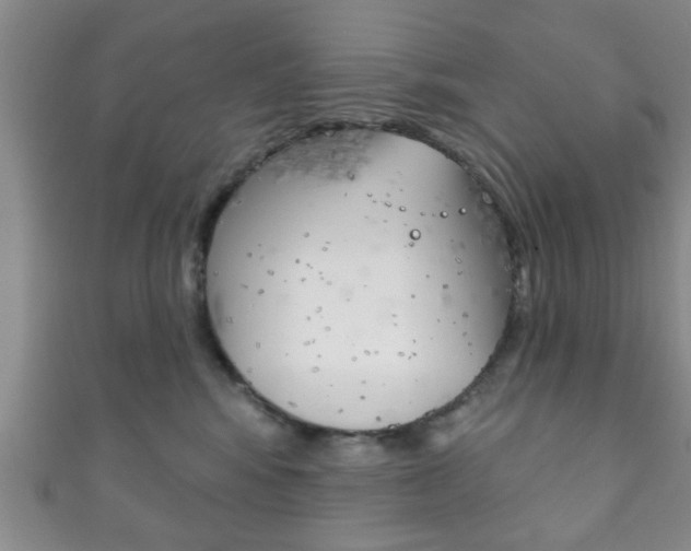 X0000111790424200907230953