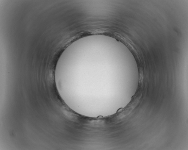 X0000111790426200907230953