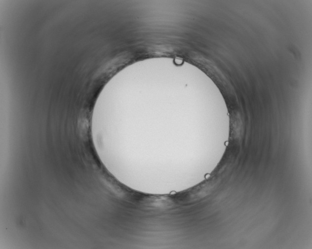 X0000111790427200907230953