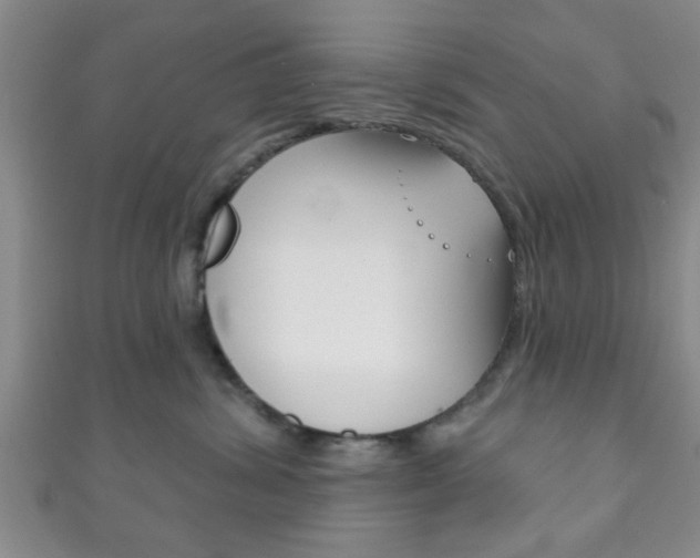 X0000111790428200907230953