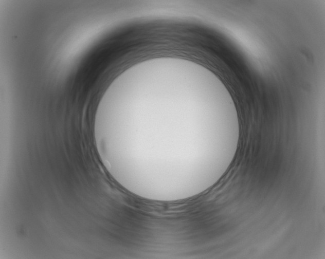 X0000111790431200907230953