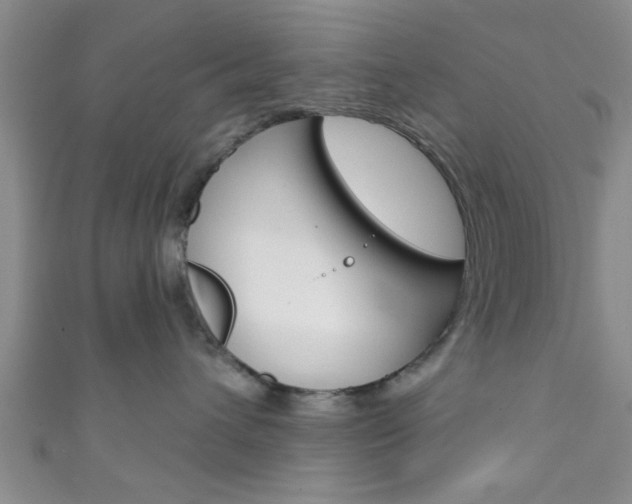 X0000111790432200907230953