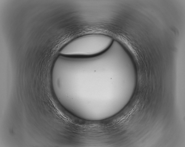 X0000111790433200907230952