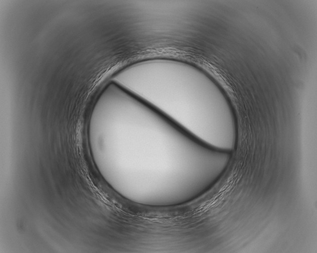 X0000111790434200907230952