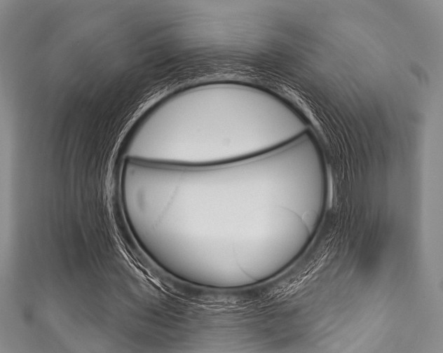 X0000111790435200907230952
