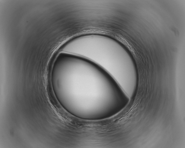 X0000111790436200907230952