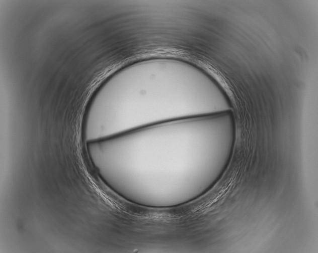 X0000111790437200907230952
