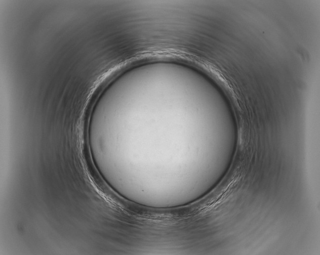 X0000111790438200907230952