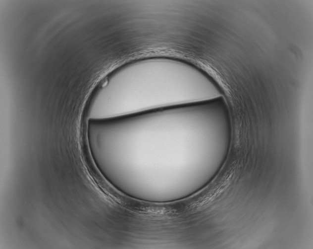 X0000111790439200907230952